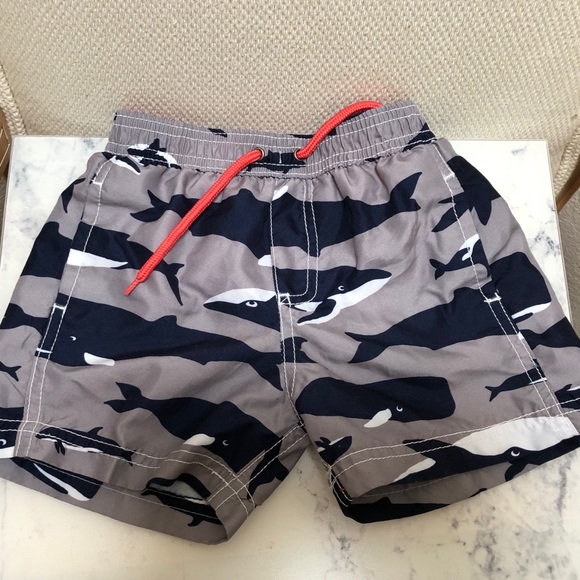 Carter’s Swim Trunks Set of 2 Size 24 months - Picture 4 of 6